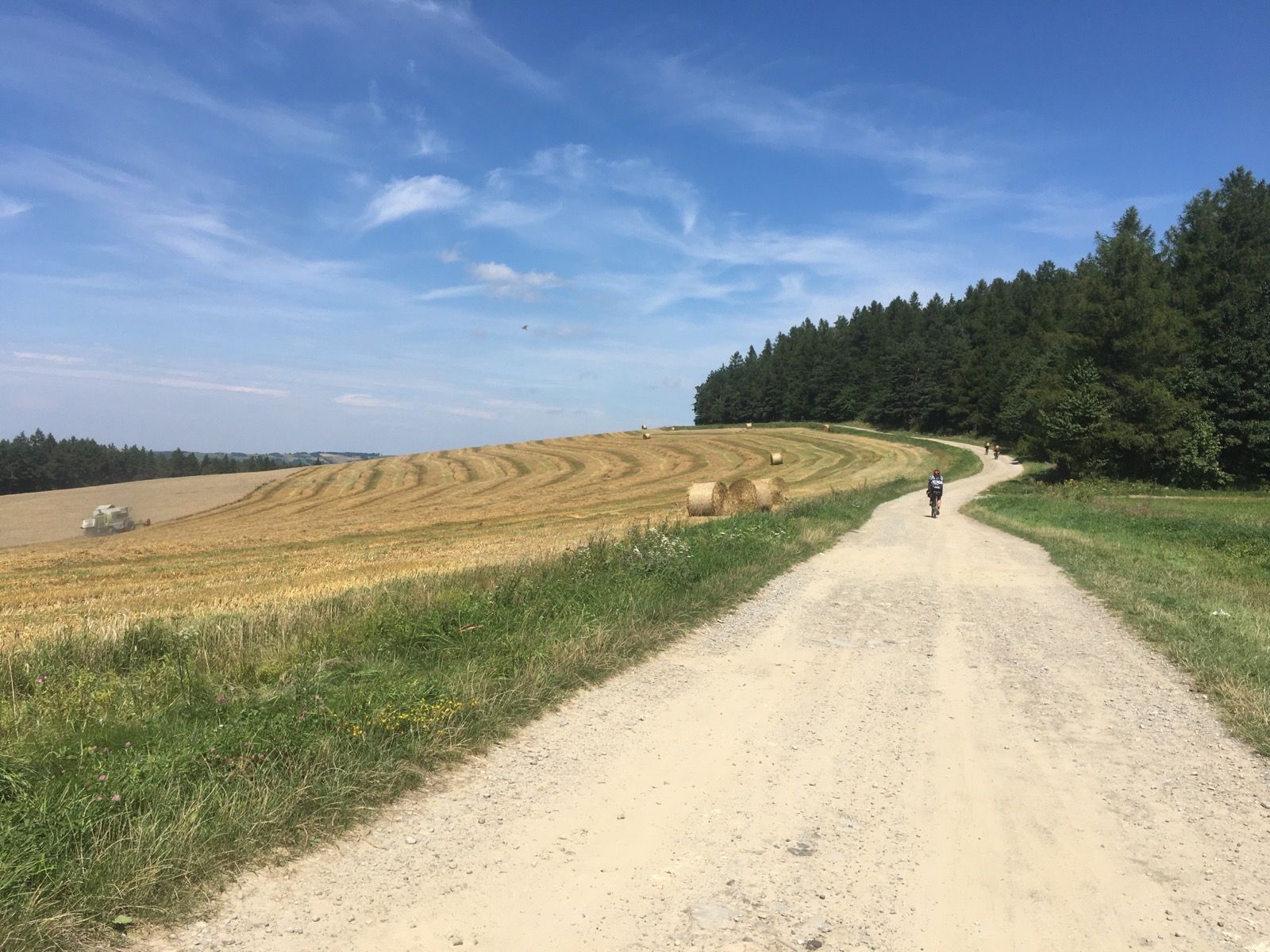 Uczestnicy Poland Gravel Race jadący szutrową drogą przez pola